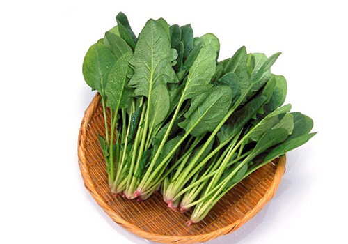 肌肉-菠菜